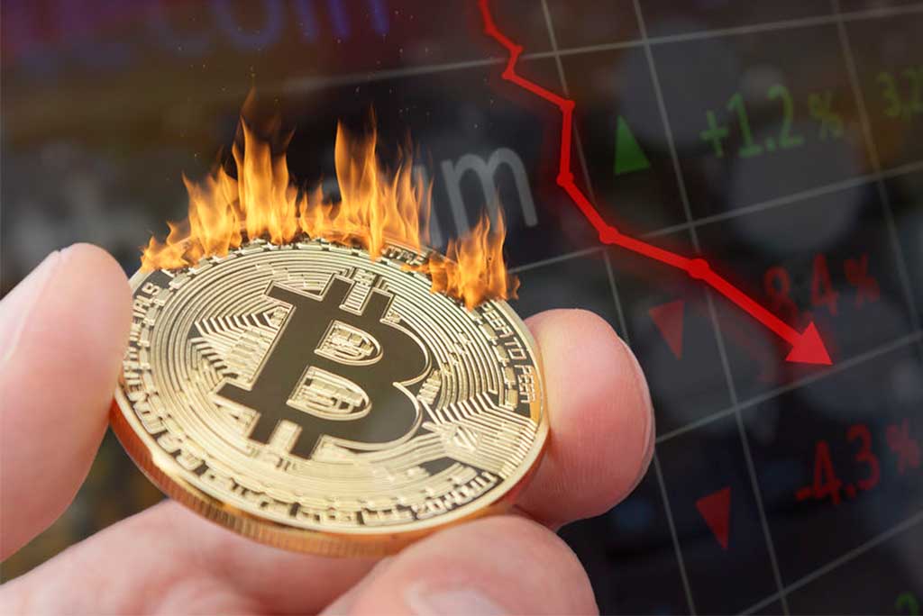 Is Bitcoin Going To Crash November 2020 / What Caused The Bitcoin Price Crash? $12000 to $9900 ... - Before starting to predict bitcoin projections, let's go back a little to the basics.i assume, as you are reading this guide, you must have heard of bitcoin.