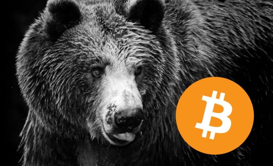 Bitcoin Bearmarkt