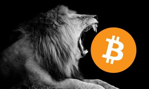 Bitcoin Update: op jacht naar $25.000 + trade setup BTC/USDT  