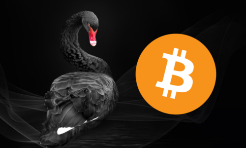 Crypto Black Swan Crash 2022 | Wereldwijde financiële crisis begonnen?