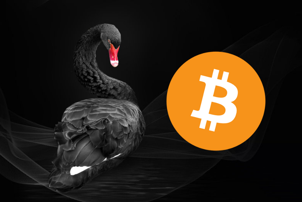 Crypto Black Swan Crash 2022