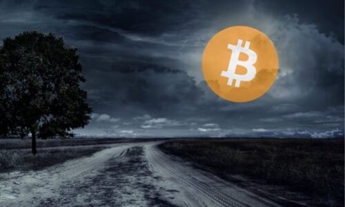 Bitcoin & Altcoin Update: we hebben gelijk gekregen!